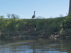 IMG 3648